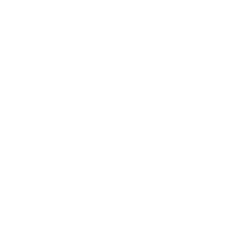 BIZ101 (Pty) Ltd
